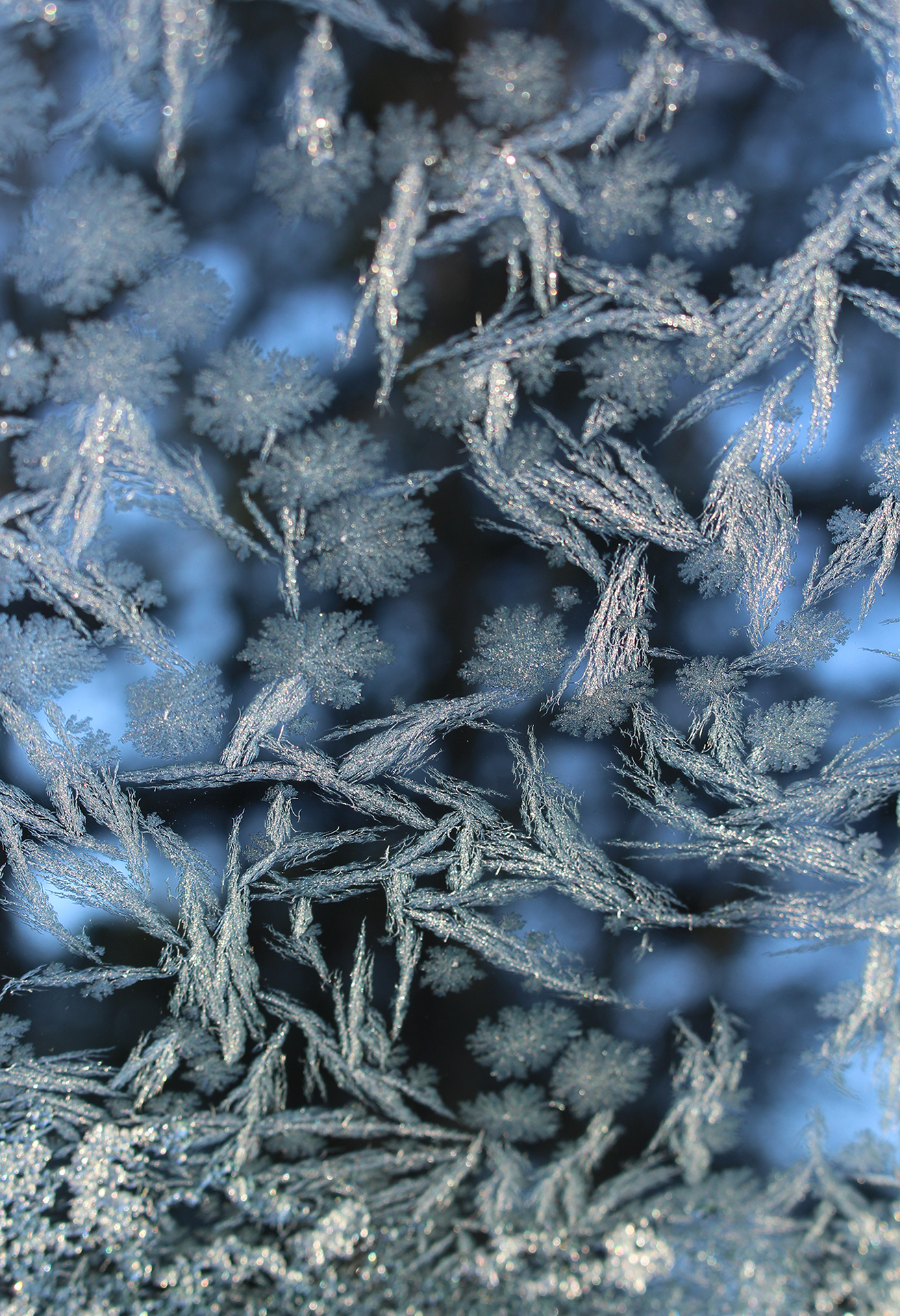 3rd PrizeAssigned Pictorial In Class 1 By Jennifer Carter For Falling Frost JAN-2026.jpg
